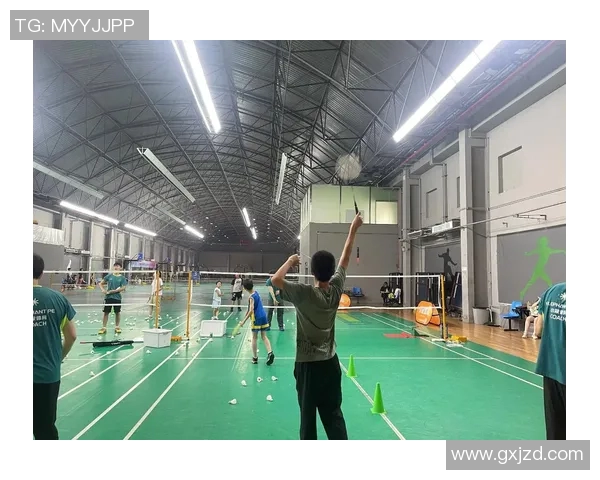 从零基础到羽毛球高手的全面提升指南与实用技巧分享