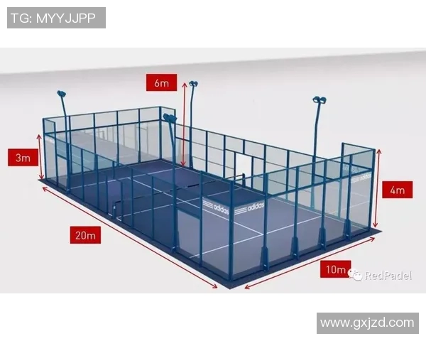 南京网球队反击战术解析与未来发展展望