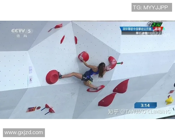 北京攀岩队节奏表现的数据分析与训练策略探讨