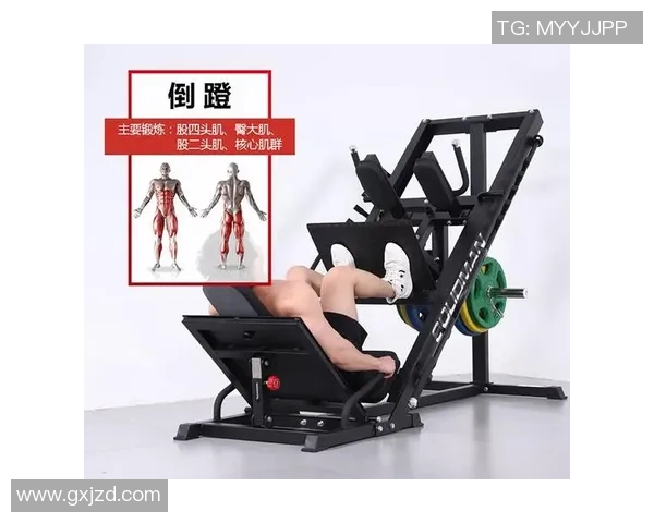 提升足力气的健身器材种类及训练方案